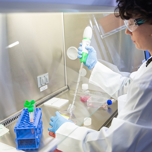 Biosafety Level 2 Lab