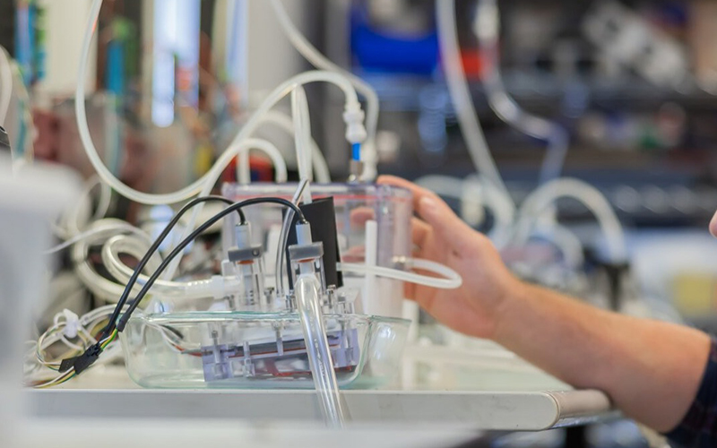 Evaluation & Testing