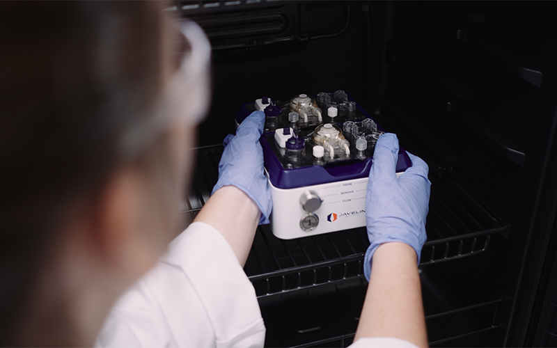 6-casestudies-javelin-featuredimage