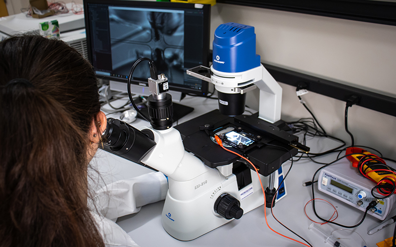 Rapid Testing and Measurement